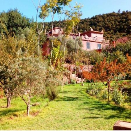 Ourika Timalizene Le Jardin Des Delices Hotel Tamezindert Eksteriør billede