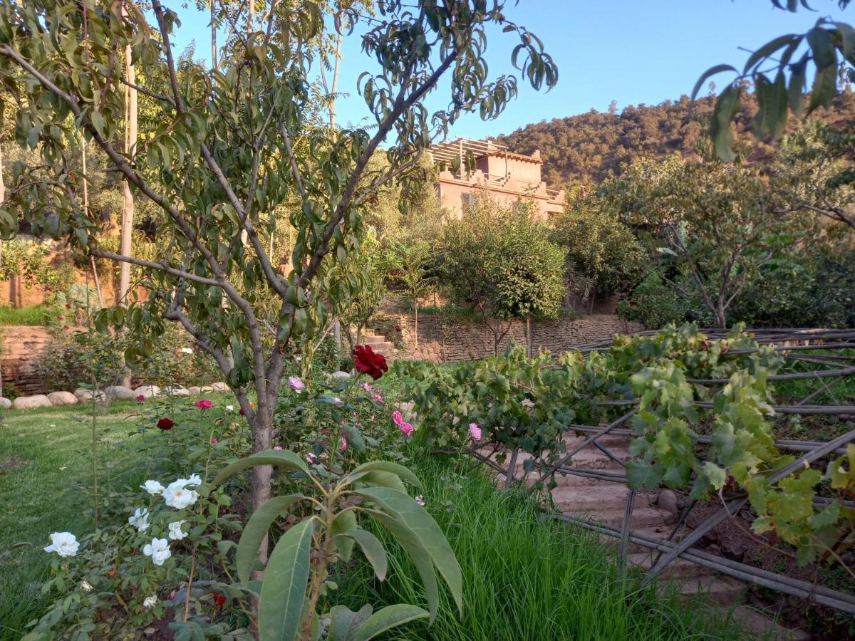 Ourika Timalizene Le Jardin Des Delices Hotel Tamezindert Eksteriør billede