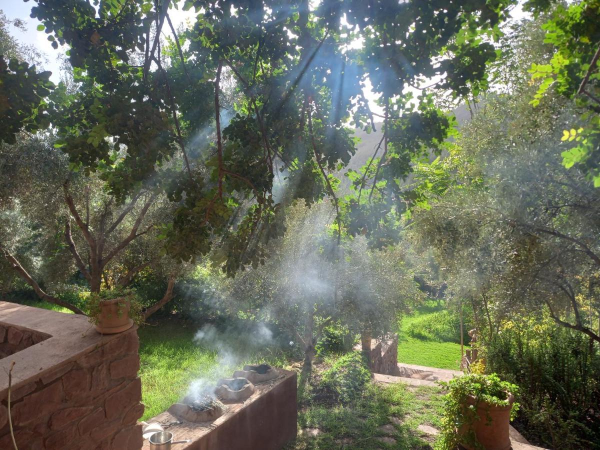 Ourika Timalizene Le Jardin Des Delices Hotel Tamezindert Eksteriør billede